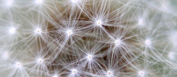 Red neuronal (imagen ilustrativa) - Sputnik Mundo