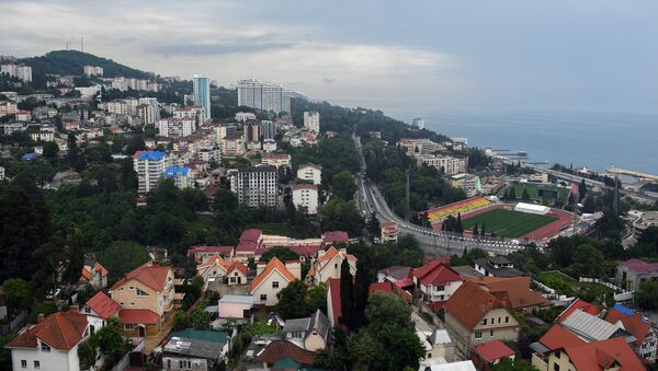 Una base deportiva creada en Sochi para el Mundial. El balneario ruso vivió un enorme impulso debido a los Juegos Olímpicos de 2014 y el Mundial de 2018 - Sputnik Mundo