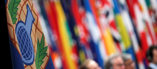 Logo de la OPAQ - Sputnik Mundo