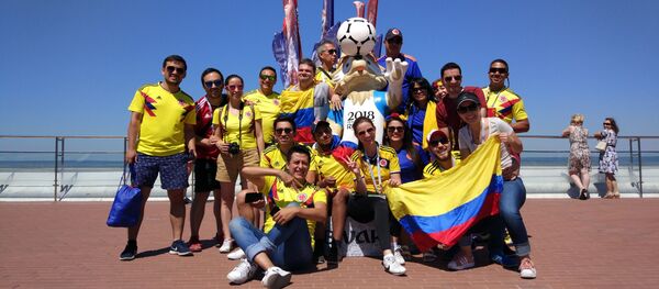 Hinchas de la selección de Colombia - Sputnik Mundo