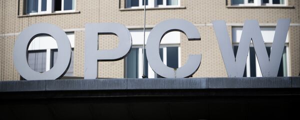 La sede de la OPAQ - Sputnik Mundo