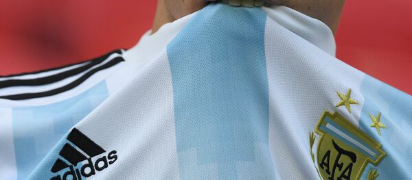 Hincha de Argentina (imagen referencial) - Sputnik Mundo