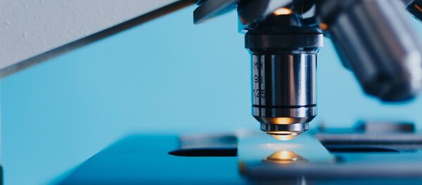 Microscopio (imagen referencial) - Sputnik Mundo