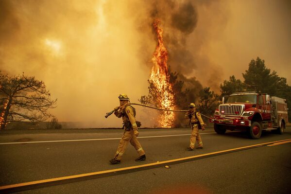 Los incendios forestales devoran California - Sputnik Mundo