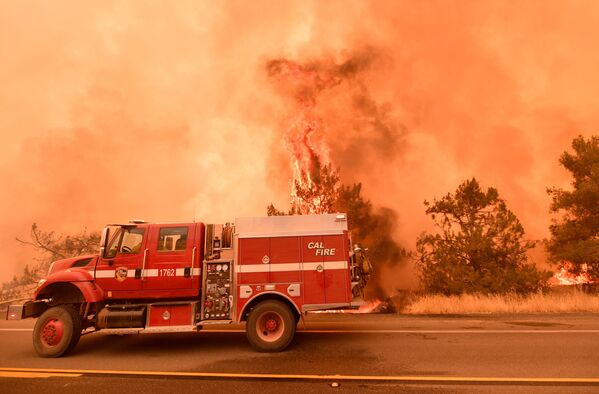 Los incendios forestales devoran California - Sputnik Mundo