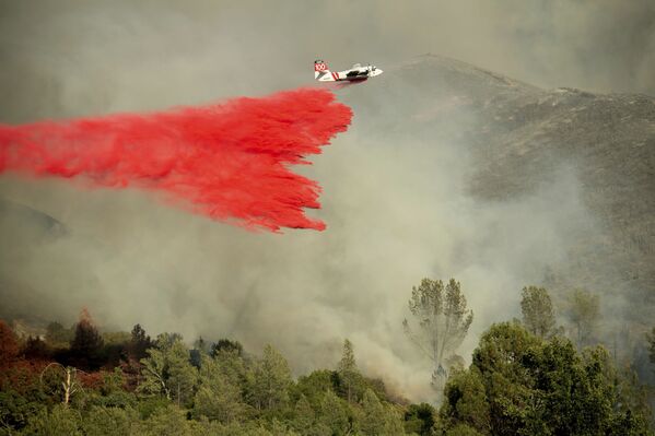 Los incendios forestales devoran California - Sputnik Mundo