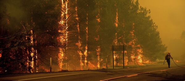 Los incendios forestales devoran California - Sputnik Mundo