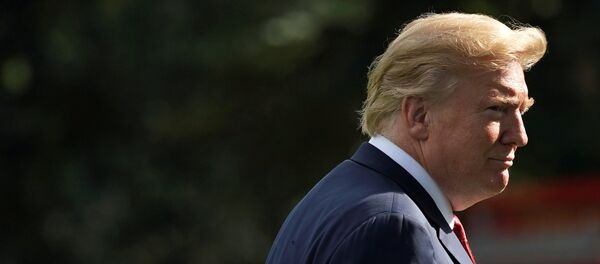 Donald Trump, presidente de EEUU - Sputnik Mundo