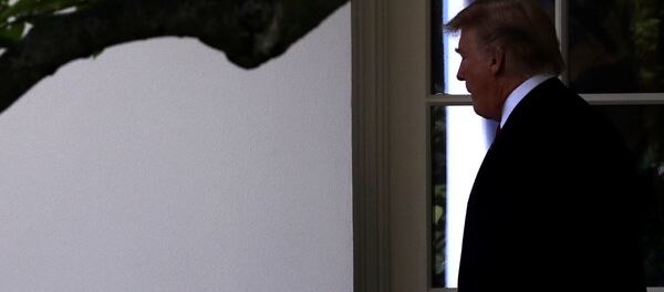 Donald Trump, presidente de EEUU - Sputnik Mundo