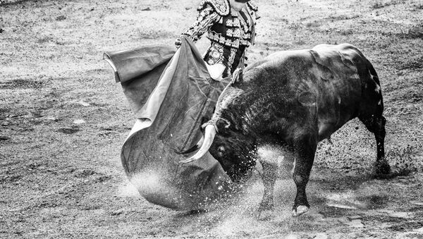 Corrida de toros (imagen referencial) - Sputnik Mundo