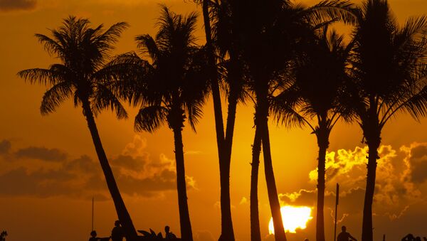 Honolulu, Hawái - Sputnik Mundo