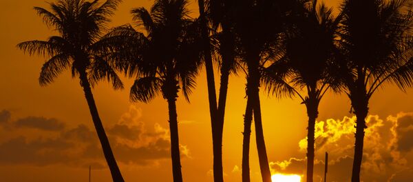 Honolulu, Hawái Honolulu, Hawái - Sputnik Mundo