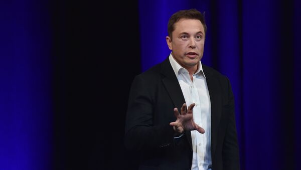 Elon Musk, empresario e inventor estadounidense - Sputnik Mundo