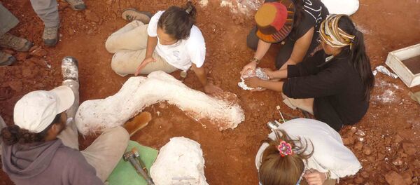 Investigadores argentinos desentierran fósiles del dinosaurio gigante más antiguo conocido hasta el momento, San juan, Argentina Investigadores argentinos desentierran fósiles del dinosaurio gigante más antiguo conocido hasta el momento, San juan, Argentina - Sputnik Mundo