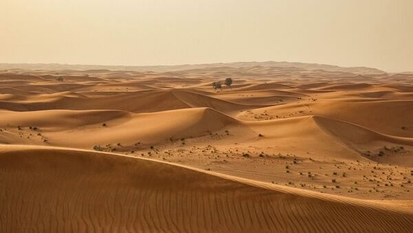 Un desierto (archivo) - Sputnik Mundo