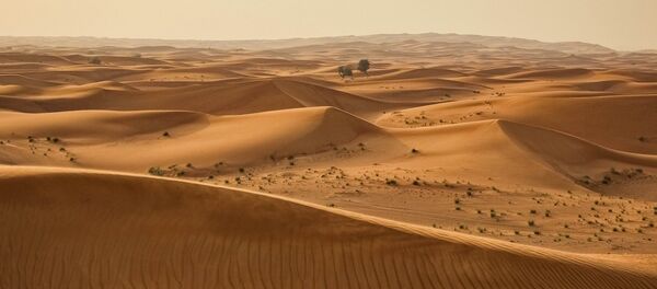 Un desierto (archivo) - Sputnik Mundo