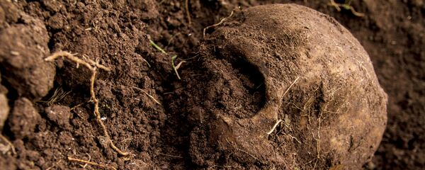 Cráneo hallado en una fosa clandestina (Archivo) - Sputnik Mundo