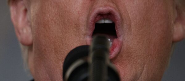 Donald Trump, presidente de EEUU - Sputnik Mundo