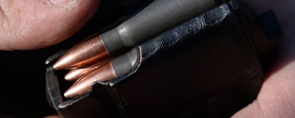 Balas de fusil, imagen referencial Balas de fusil, imagen referencial - Sputnik Mundo