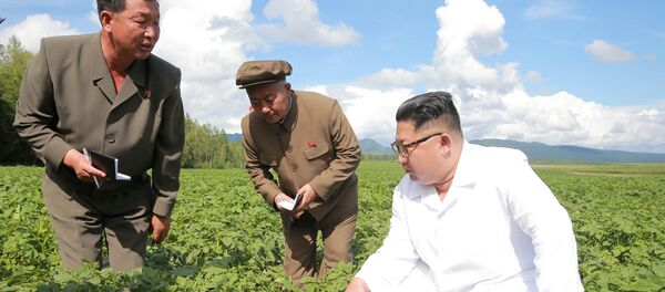 Kim Jong-un marca también el camino de la economía norcoreana - Sputnik Mundo
