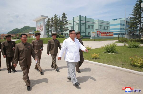 Kim Jong-un marca también el camino de la economía norcoreana - Sputnik Mundo