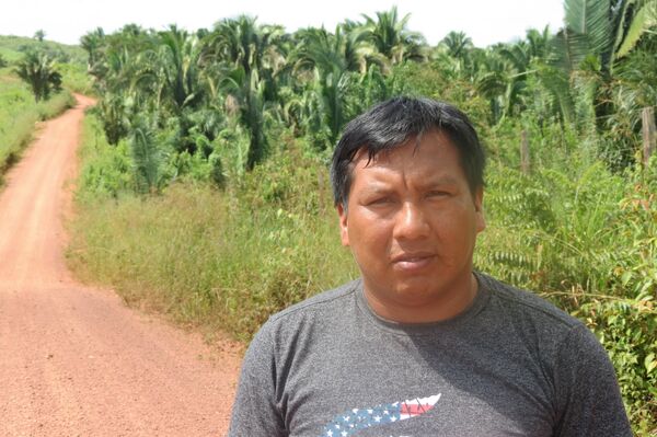 Itahú Ka'apor, miembro del Consejo de Gestión  - Sputnik Mundo