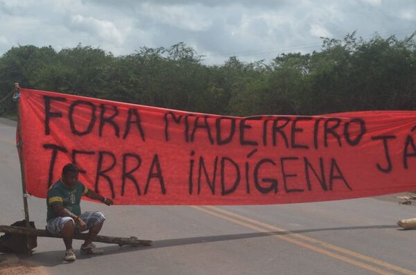 Una protesta contra los madereros - Sputnik Mundo