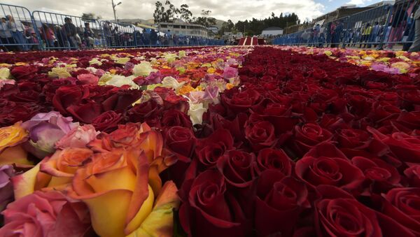 Un fragmento de la pirámide de rosas construida en Ecuador - Sputnik Mundo