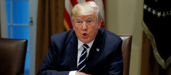 Donald Trump, presidente de EEUU - Sputnik Mundo