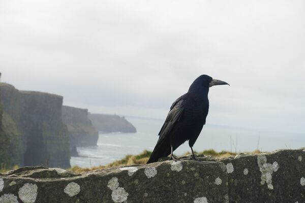 Los acantilados de Moher  - Sputnik Mundo