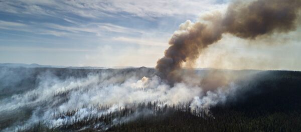 Incendios forestales en Rusia - Sputnik Mundo