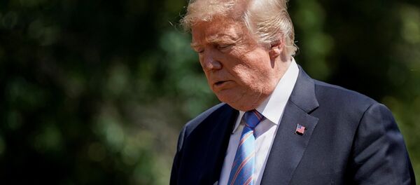 Donald Trump, presidente de EEUU - Sputnik Mundo