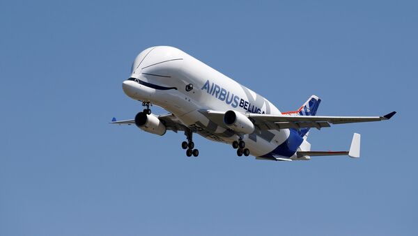 Un avión Airbus A330-700, conocido como Beluga XL - Sputnik Mundo