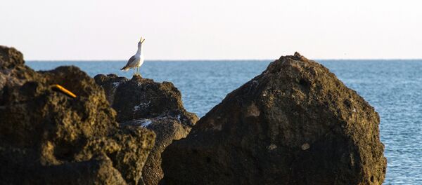El mar de Azov - Sputnik Mundo