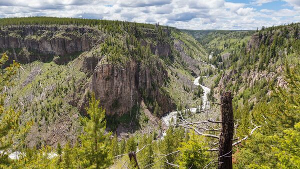 El parque nacional de Yellowstone, en Estados Unidos - Sputnik Mundo