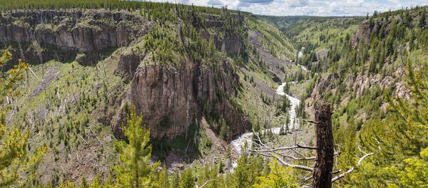 El parque nacional de Yellowstone, en Estados Unidos El parque nacional de Yellowstone, en Estados Unidos - Sputnik Mundo