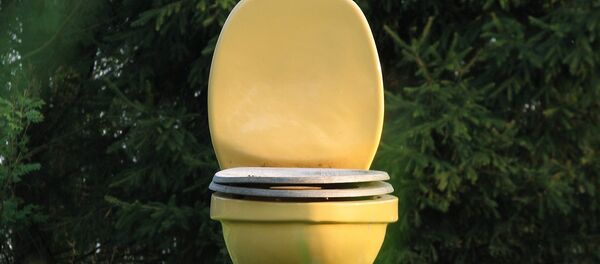 Un retrete (imagen referencial) Un retrete (imagen referencial) - Sputnik Mundo