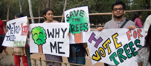 Los activistas defendiendo la deforestación - Sputnik Mundo