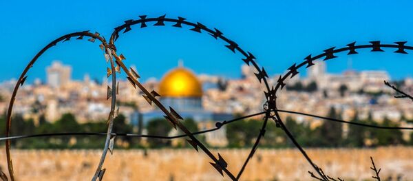 Alambre de púas en un paisaje de Jerusalén - Sputnik Mundo