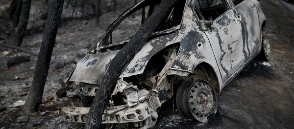 Consecuencias de los incendios en Grecia - Sputnik Mundo