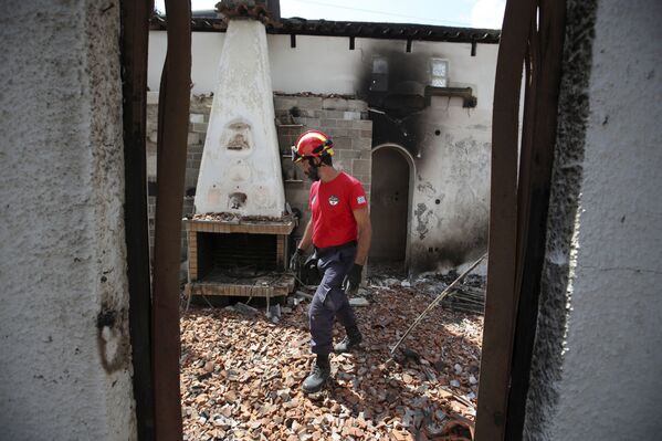 Una tragedia indescriptible: los incendios forestales asolan Grecia - Sputnik Mundo