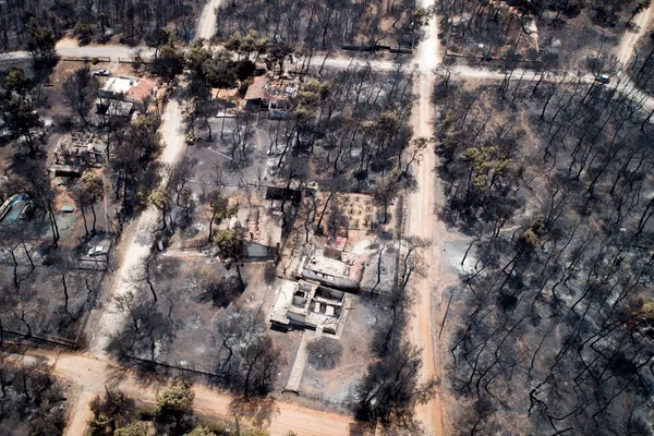 Una tragedia indescriptible: los incendios forestales asolan Grecia - Sputnik Mundo