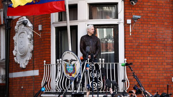 Julian Assange, el fundador de Wikileaks - Sputnik Mundo