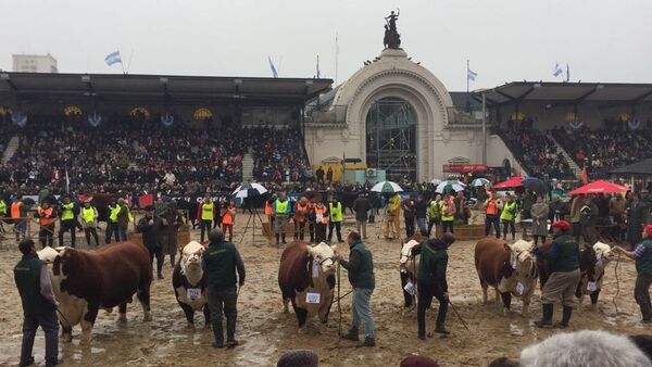 Exposición Rural en Buenos Aires, Argentina 2018 - Sputnik Mundo