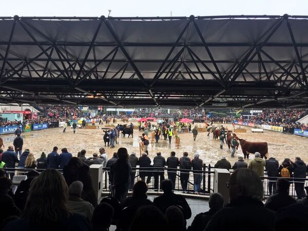 Exposición Rural en Buenos Aires, Argentina 2018 - Sputnik Mundo