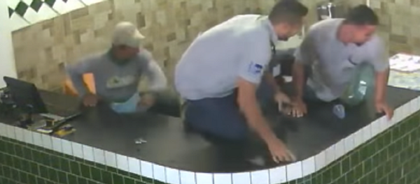 Un pitbull juguetón 'asusta' a un grupo de obreros Un pitbull juguetón 'asusta' a un grupo de obreros - Sputnik Mundo