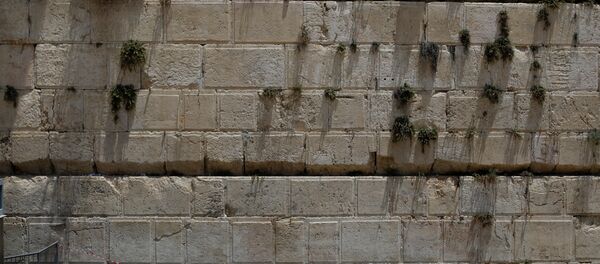 Muro de las Lamentaciones en Jerusalén - Sputnik Mundo