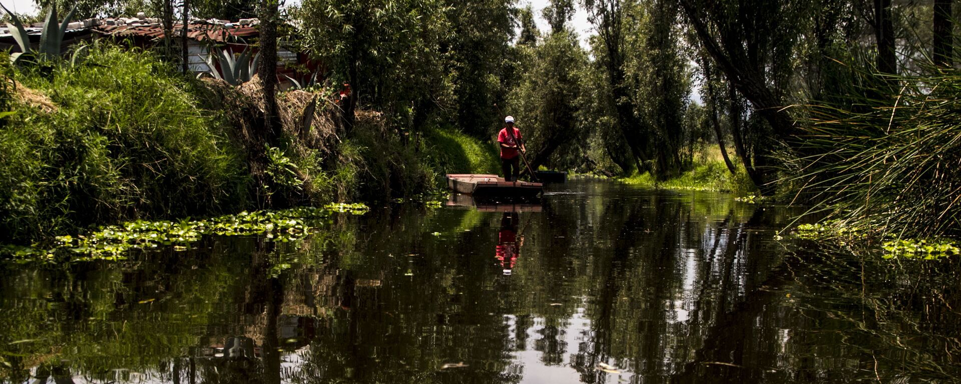 Campesino en el canal de Xochimilco el último lago de la Ciudad de México - Sputnik Mundo, 1920, 31.03.2021