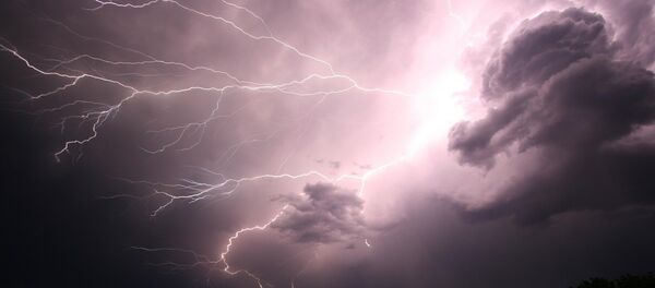 Un rato (imagen referencial) - Sputnik Mundo