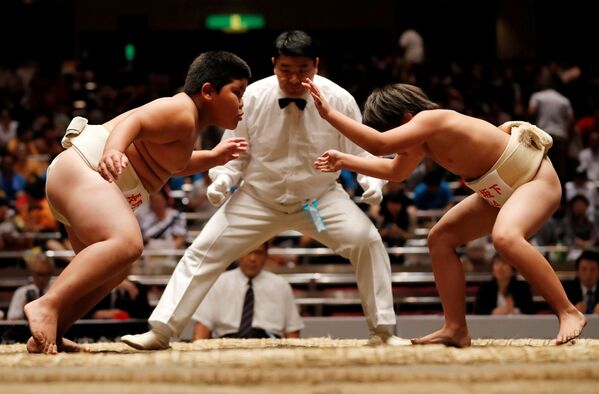 Escolares japoneses compiten por el título de mejor luchador de sumo - Sputnik Mundo